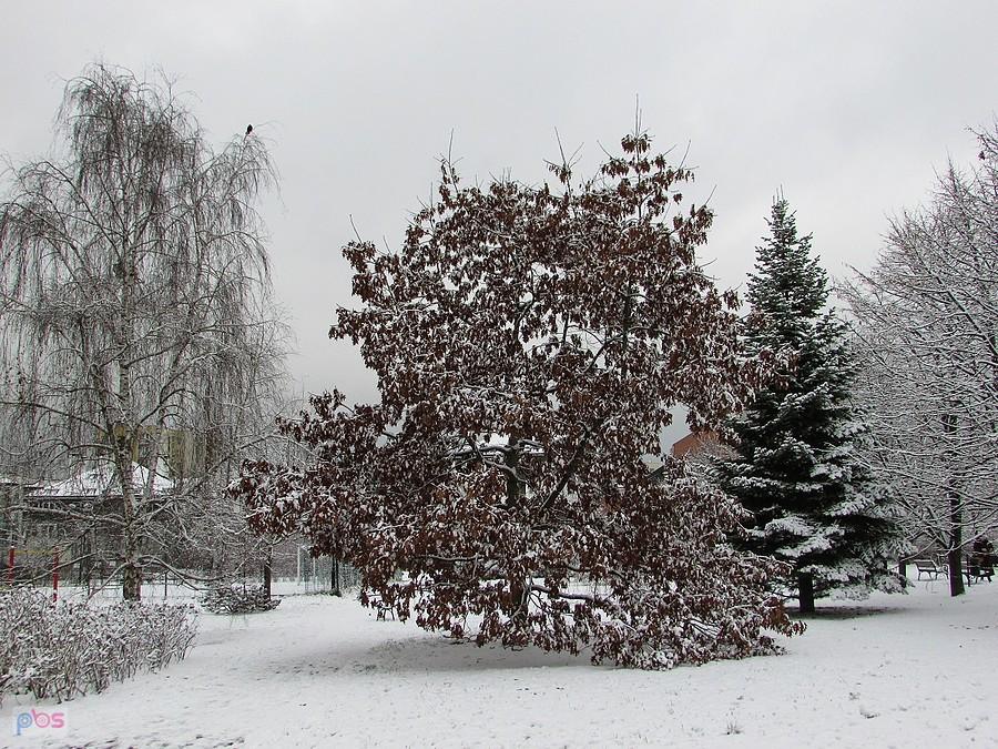 Park im. Jana Pawła II na Ursynowie