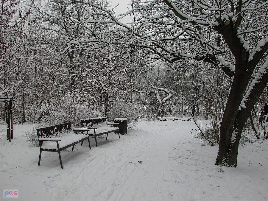 Park pod Kopą Cwila
