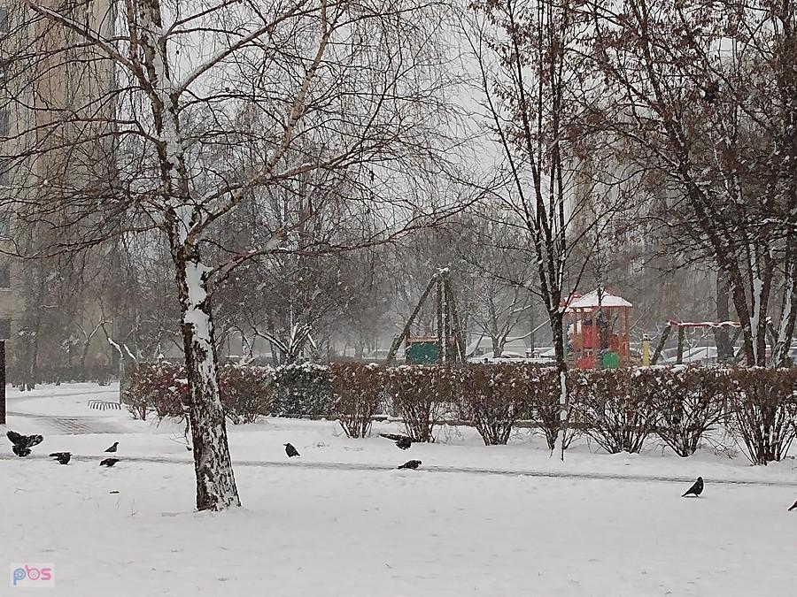 Sypie śnieg