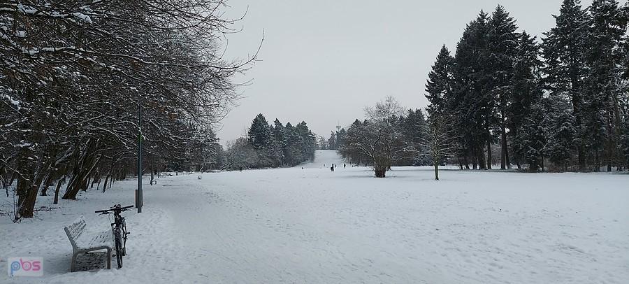 Zabielony Park Grabiszyński i górka saneczkowa w tle