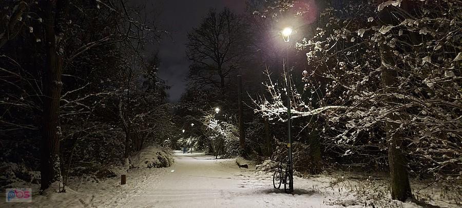 Wieczór w Parku Grabiszyńskim - śnieżnie i klimatycznie
