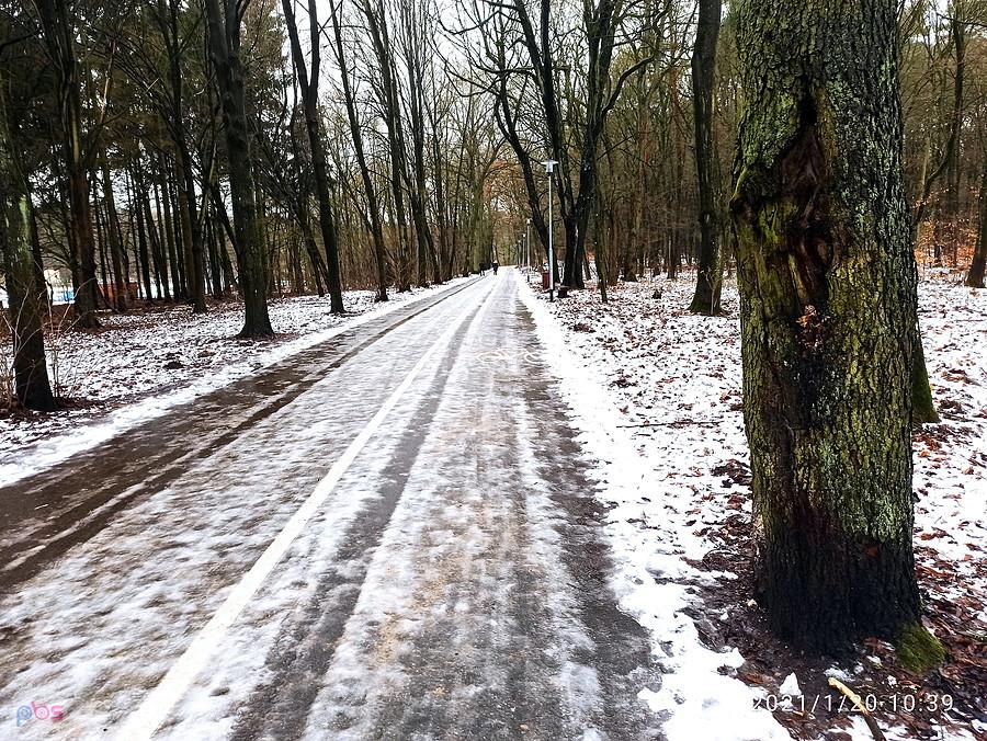 Ścieżka pieszo - rowerowa wokół Arkonki.
