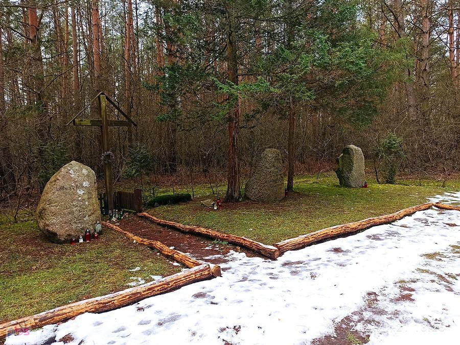 Jeszcze jedno ujęcie lapidarium rodu Ramin.