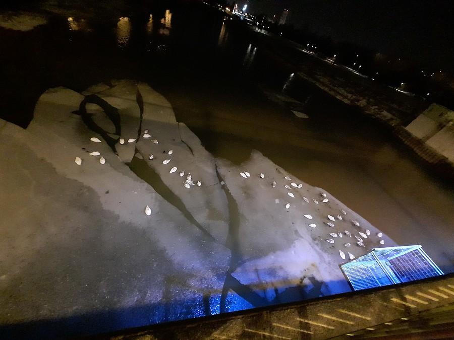 Łabądkowa sypialnia.