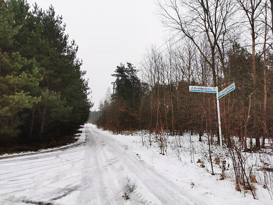 Skrzyżowanie Księżnej Diany i Kubusia Puchatka