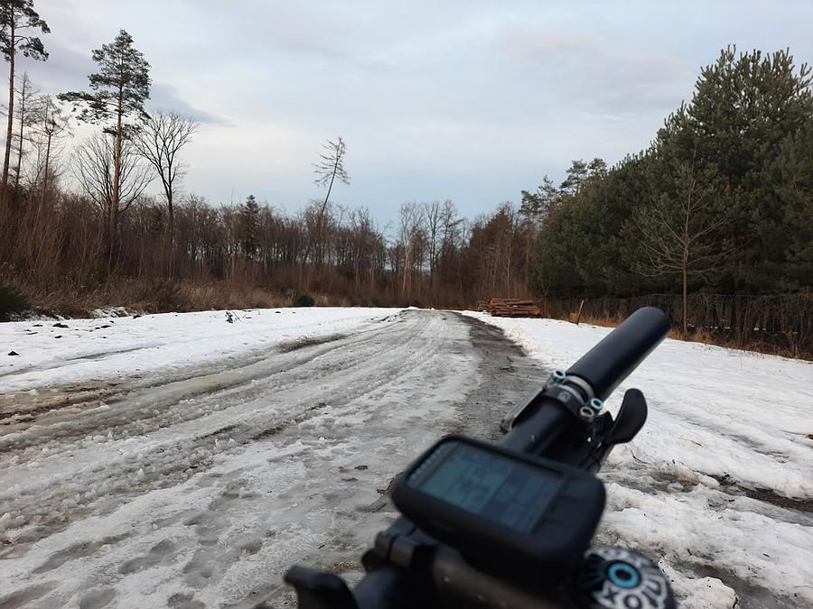 Leśna ciapa odpada.