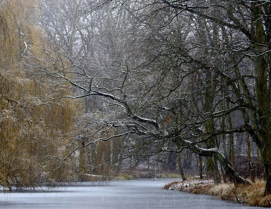 Lekko zmrożona Dębina, Poznań