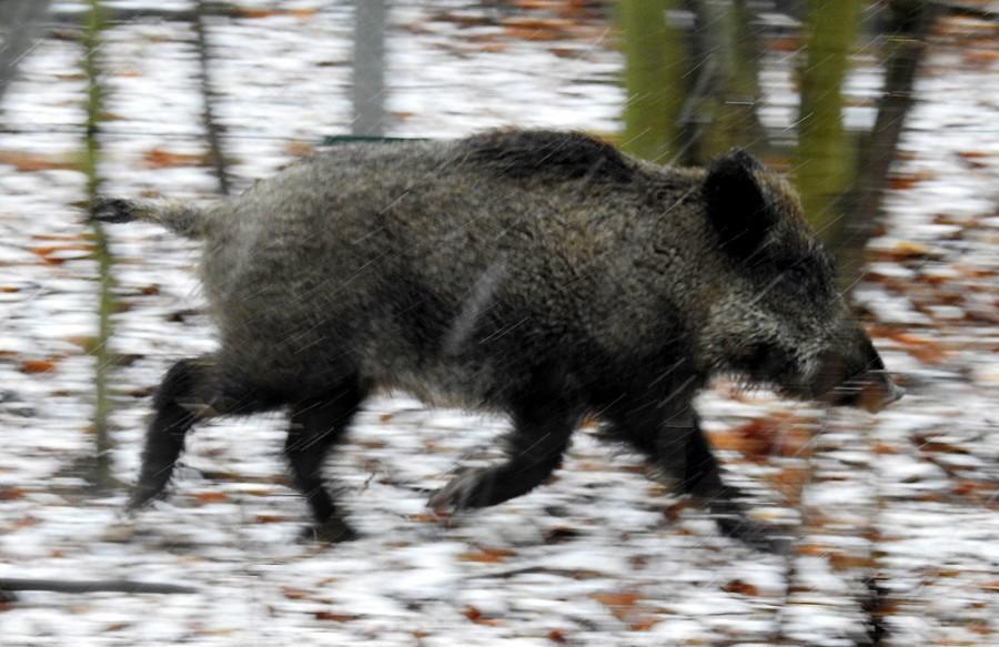 Podczas joggingu :)