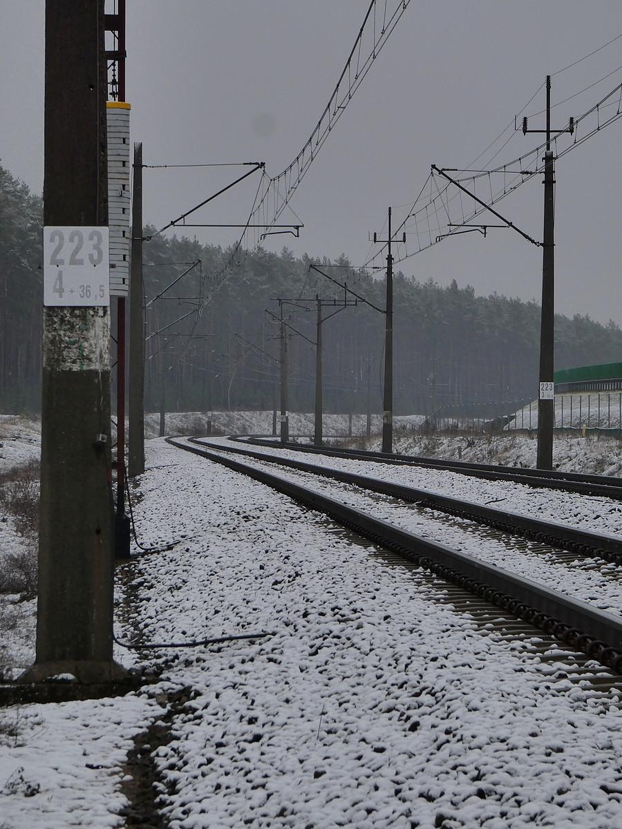 Obwodnica kolejowa Rzepina