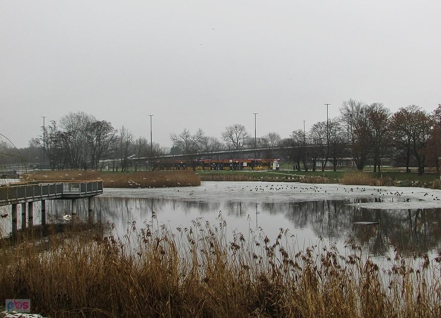Staw Służewiecki