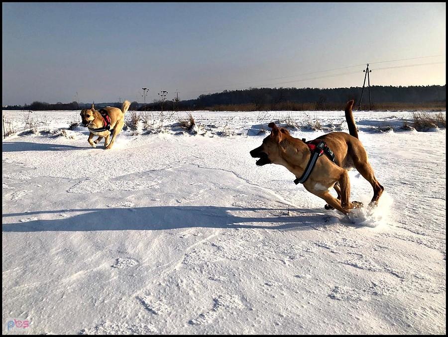 Zabawy na śniegu
