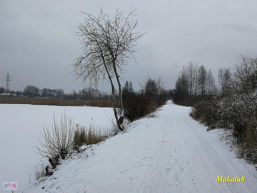 Zima w mieście.
