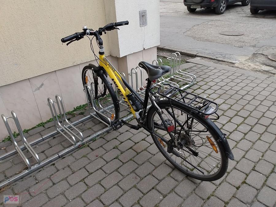 Pszczółka na parkingu