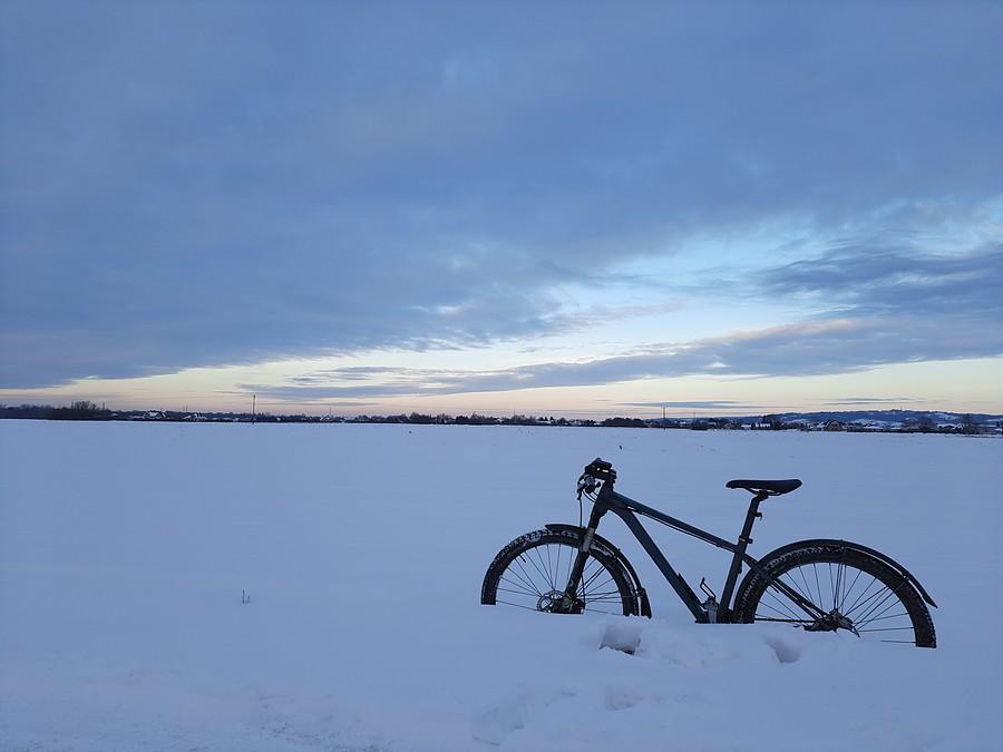 Obok kładki w Budziwoju/Rzeszowie.