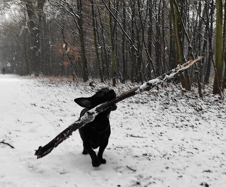 Większego dziś nie było :)