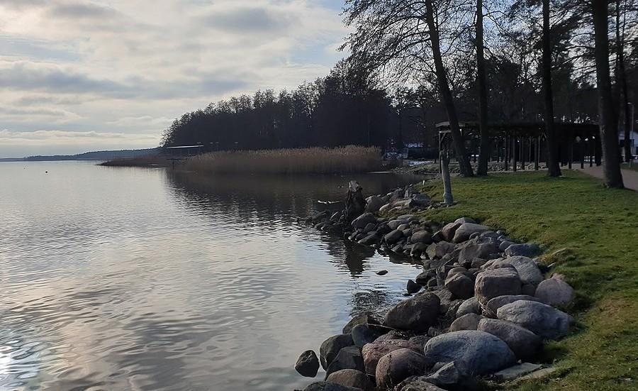 Jezioro Miedwie w Morzyczynie