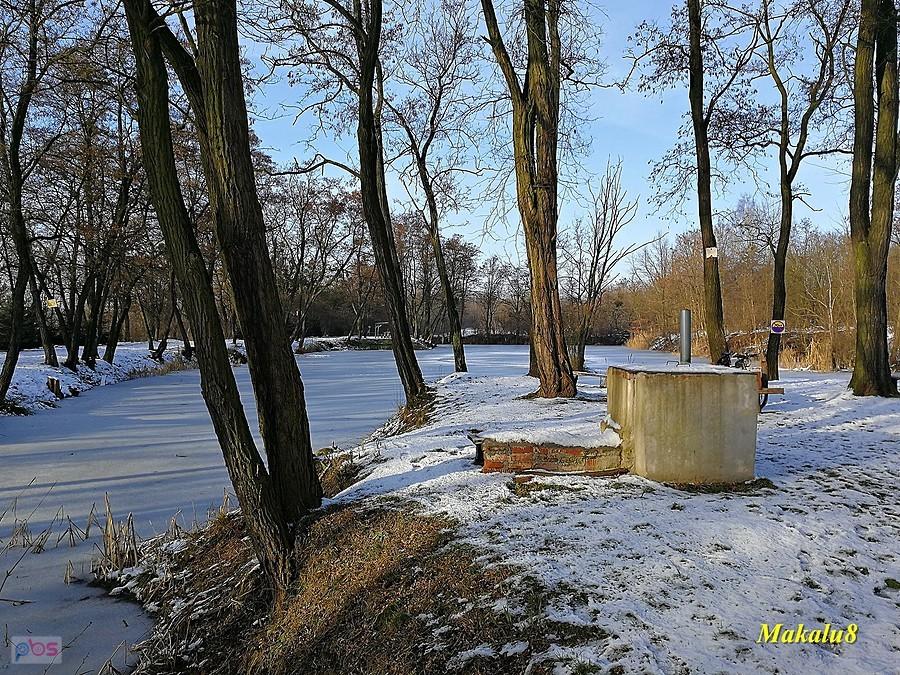 Zabrze-Grzybowice