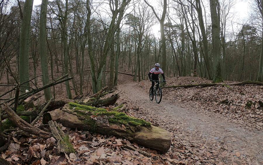 Ogólnie terenowe warunki do MTB miałem spoko