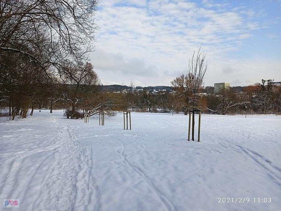 Zupełnie już zimowo pod lasem.