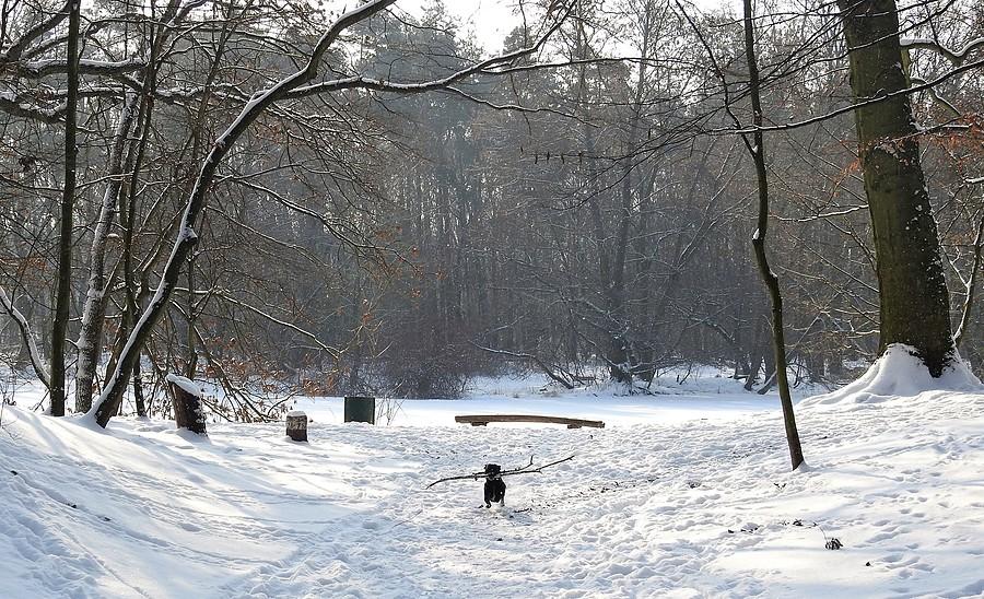 Torpeda działa również w śniegu :)