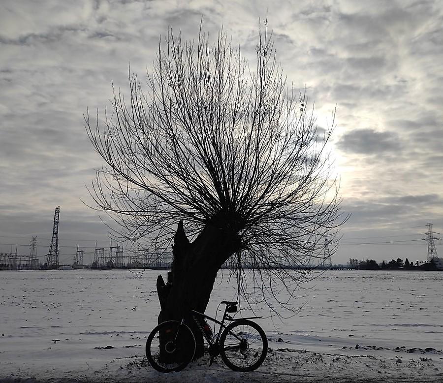 Śnieżny wschód na zachód od Poznania