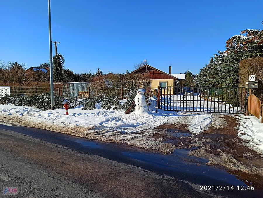 Obrazek zimowy ze Sławoszewa.