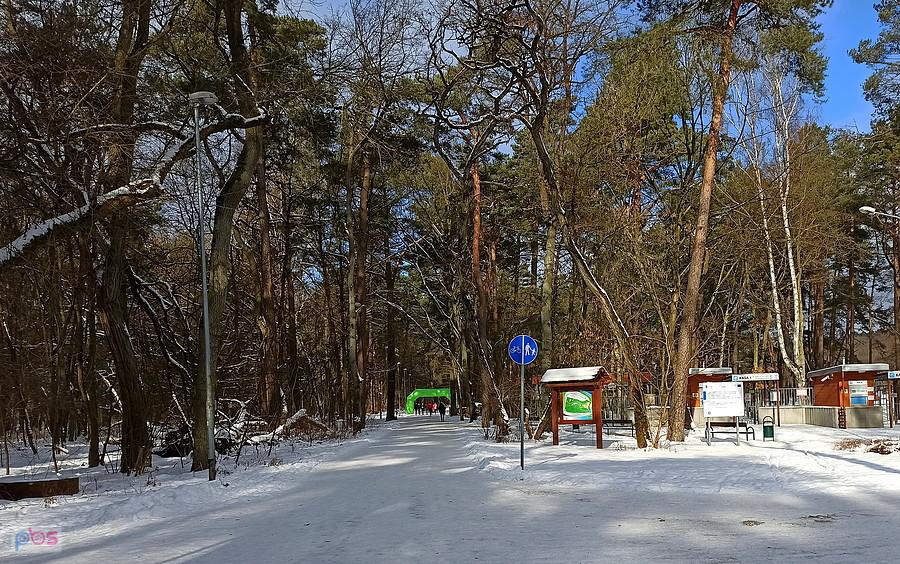 Wokół Arkonki - na alejce tłoku nie było.