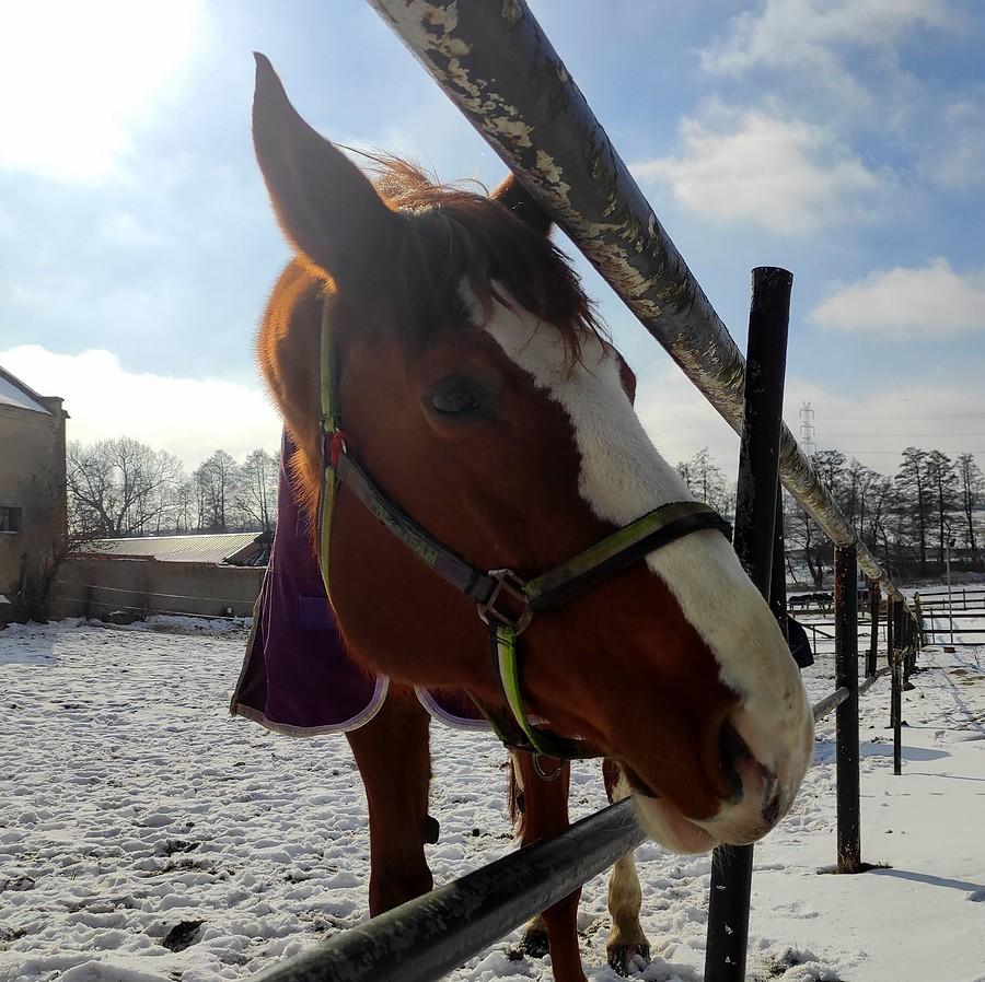 To już koniec żarcia? Naprawdę?