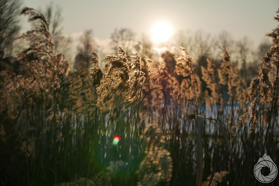 chabazie nad Zalewem Sosina