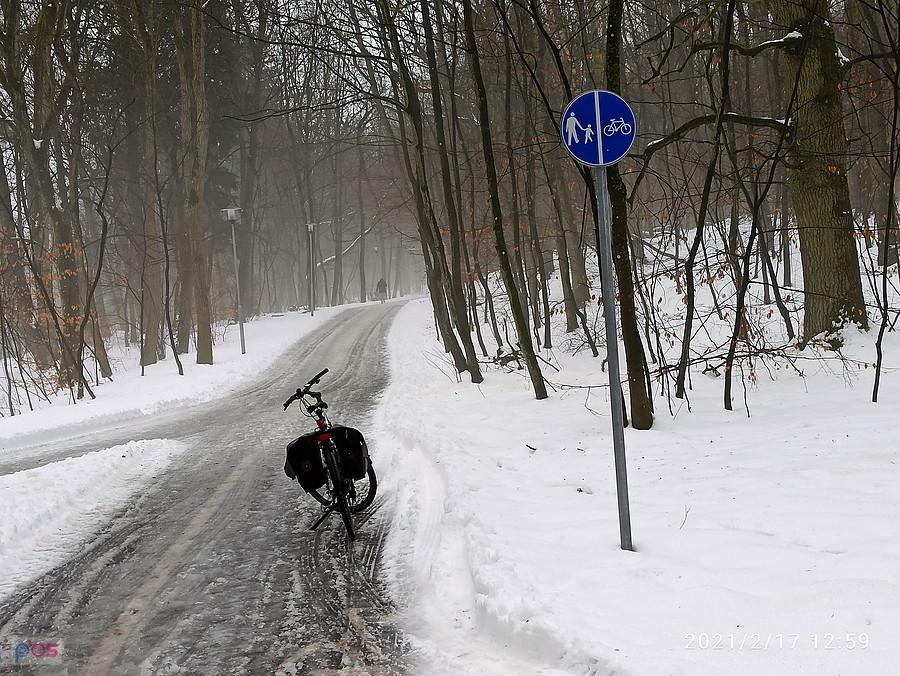 Lekka mgiełka na wysokości Goplany.