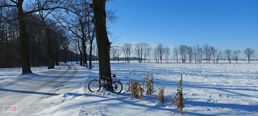Bikefoto na zimowej szosie krzyżowickiej