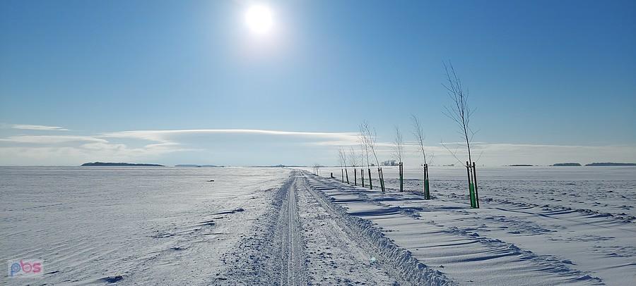 Pure winter