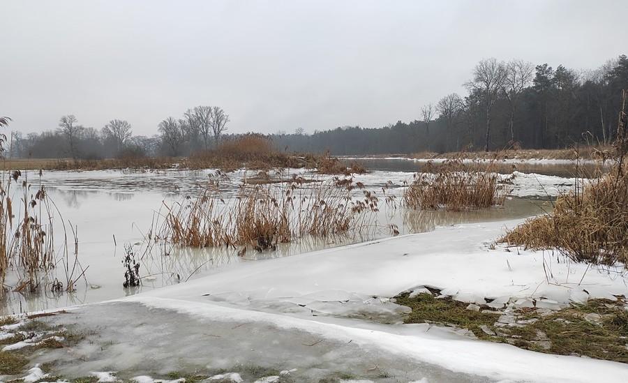 Resztki lodu na Warcie, Radzewice