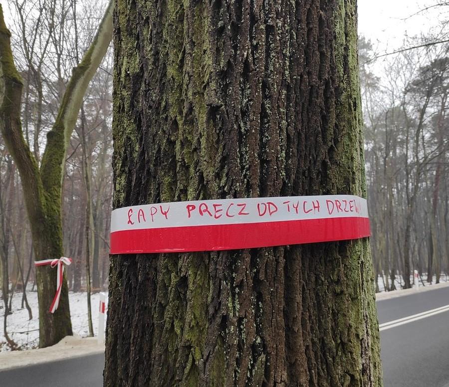 Łapy precz od tych drzew, Puszczykowo
