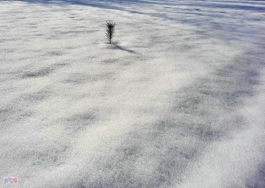 Idzie ku wiosnie - przebisosna