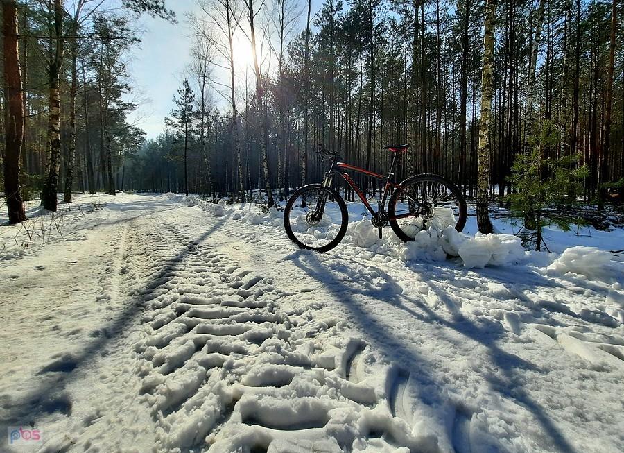 Po śladach ciągnika