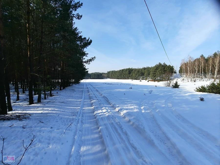 Ośnieżona drózka leśna