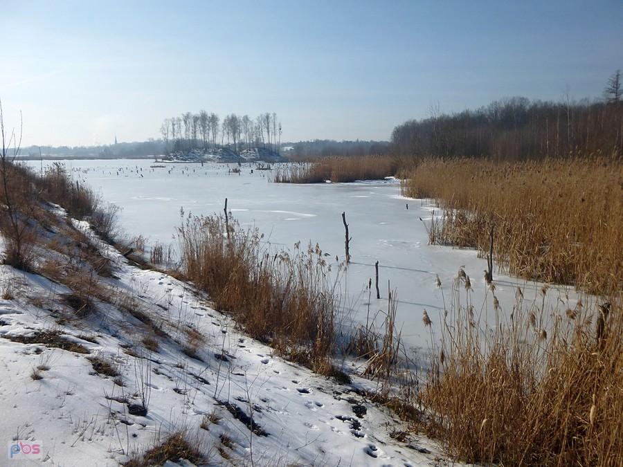 Zamarznięte