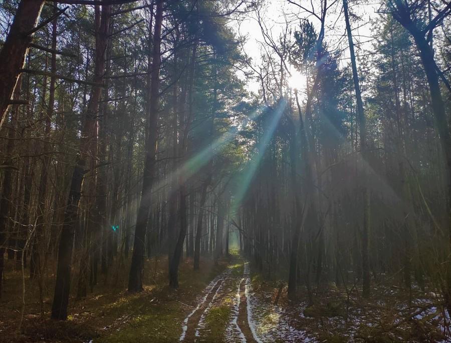 Roztapianie śnieżnych pozostałości