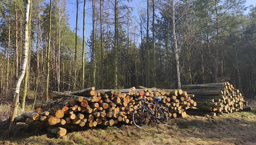 Wciąż w Polsce wszystko idzie zgodnie z planem :/