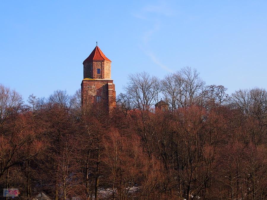 Wzgórze zamkowe w Toszku