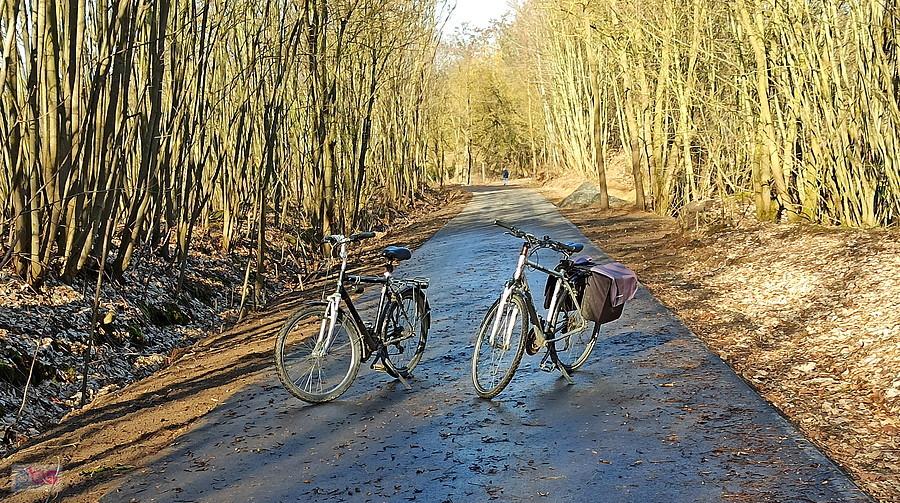 Nasze rowery na ścieżce rowerowej Buk - Stolec.
