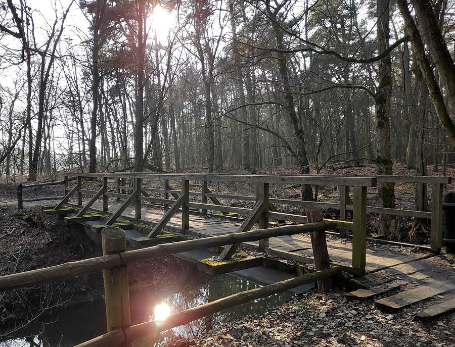 Jeden z nadwarciańskich mostków, WPN