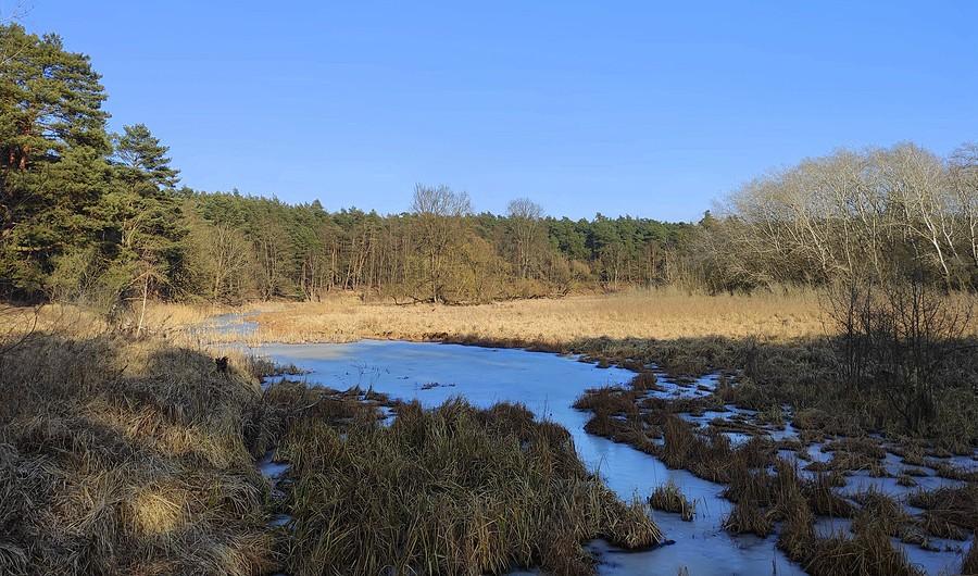 Nadwarciańskie bagna, WPN