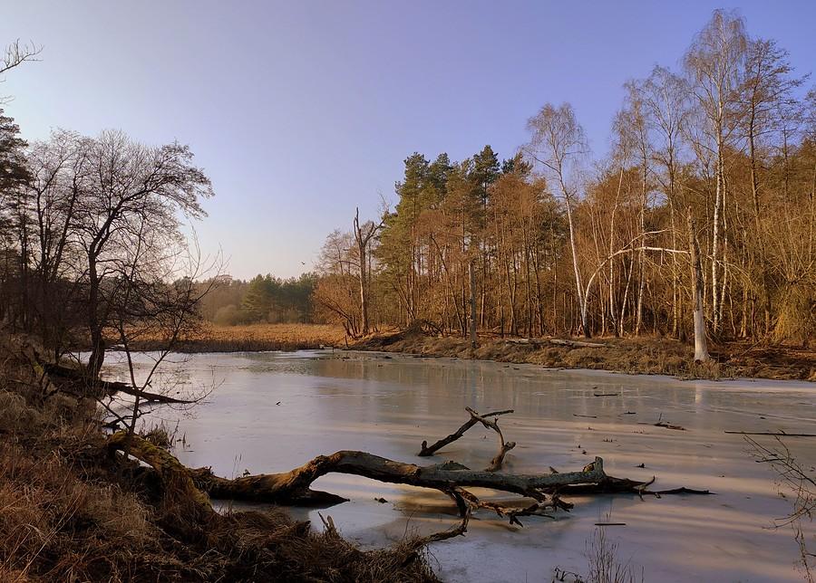 Uroczysko w słońcu, WPN