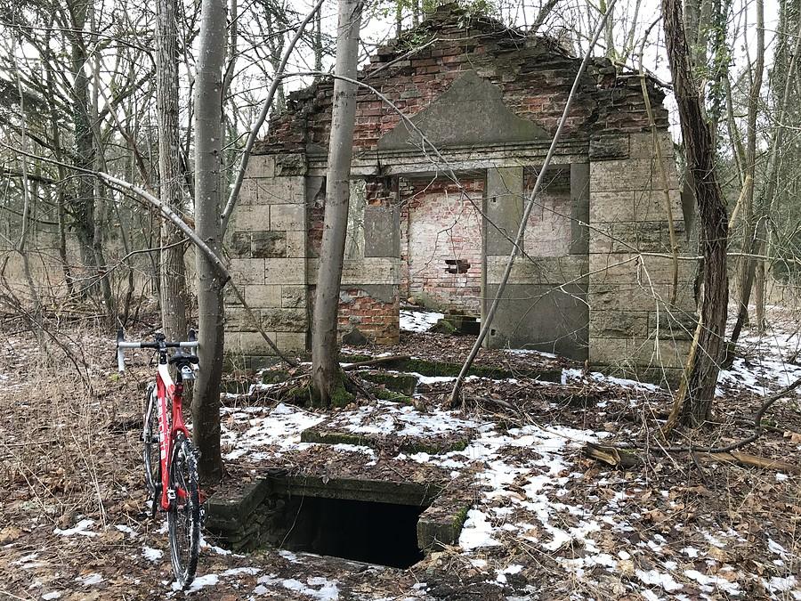 ruiny kaplicy grobowej - Stare Osieczno / cmentarz ewangelicki