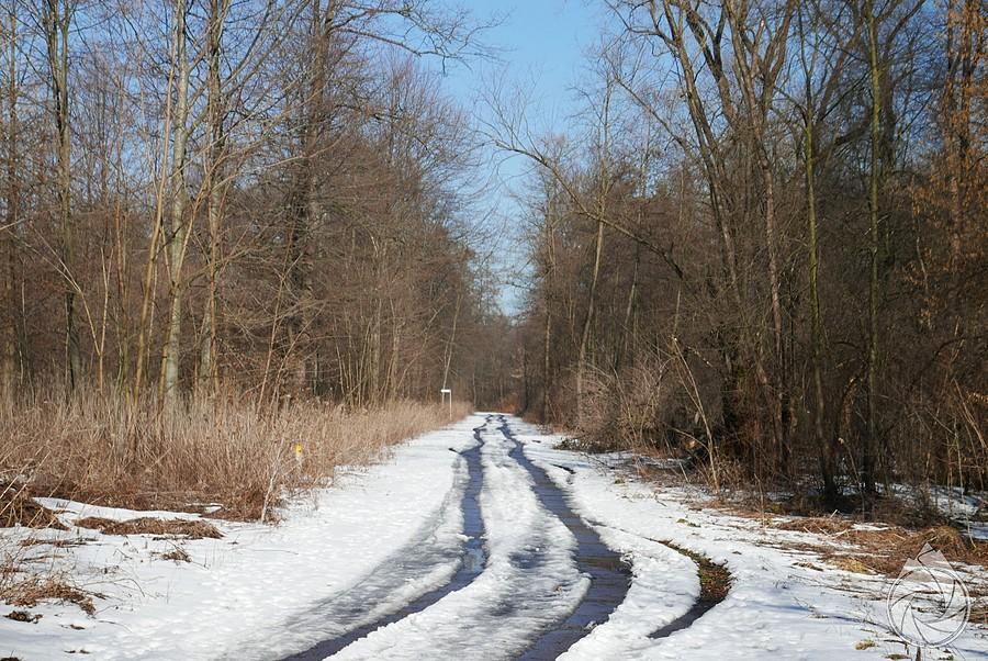 VeloPoprad pod Sączem