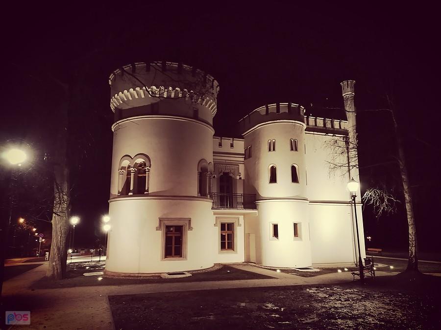 Pałac Tiele-Wincklerów w Bytomiu