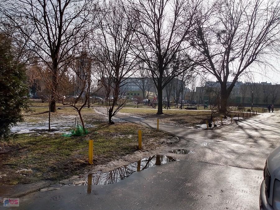 Park miejski po deszczu