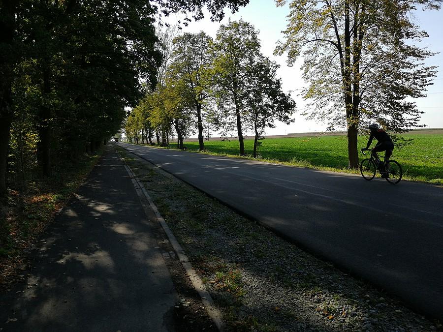 Świeży asfalt w kierunku Odolanowa to opcja Mali... Jeba# biedę. Ja lecę ścieżką :P